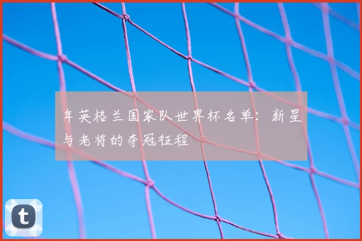 年英格兰国家队世界杯名单:新星与老将的夺冠征程