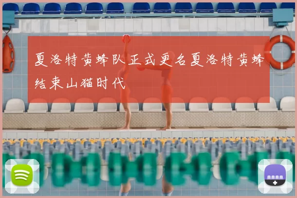 夏洛特黄蜂队正式更名夏洛特黄蜂结束山猫时代