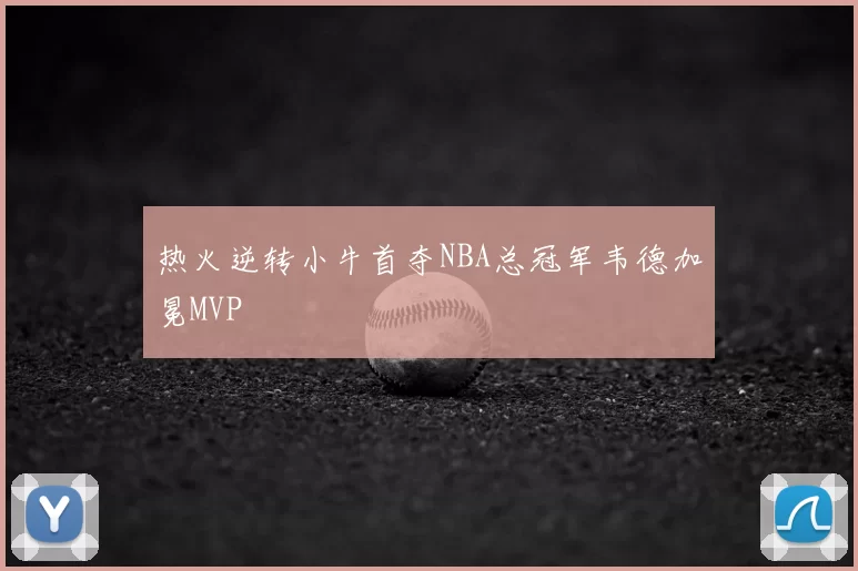 热火逆转小牛首夺NBA总冠军韦德加冕MVP