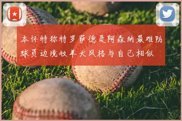 本怀特称特罗萨德是阿森纳最难防球员边境牧羊犬风格与自己相似