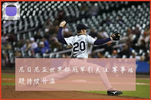 尼日尼亚世界杯冠军引关注 赛事话题持续升温
