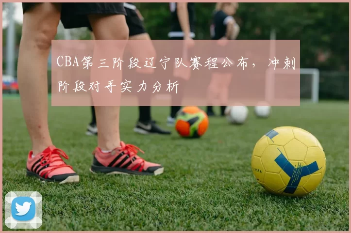 CBA第三阶段辽宁队赛程公布，冲刺阶段对手实力分析