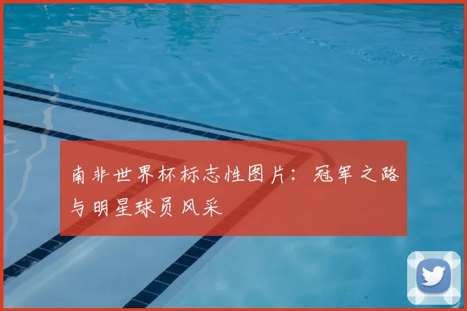 南非世界杯标志性图片：冠军之路与明星球员风采