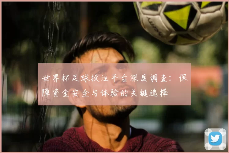 世界杯足球投注平台深度调查:保障资金安全与体验的关键选择