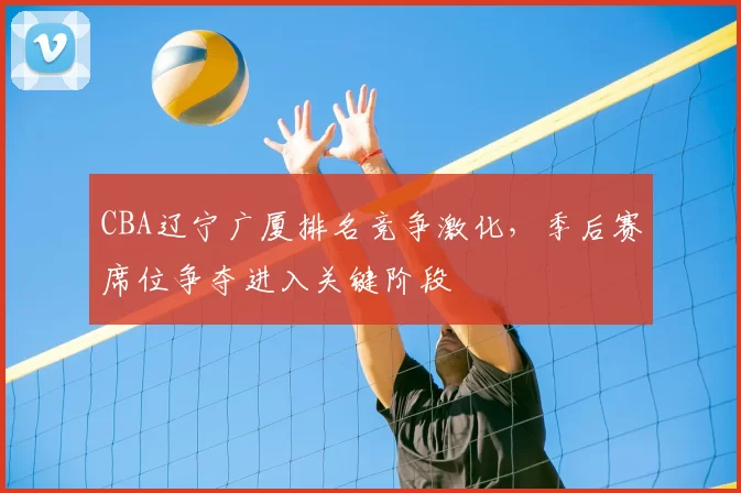 CBA辽宁广厦排名竞争激化，季后赛席位争夺进入关键阶段