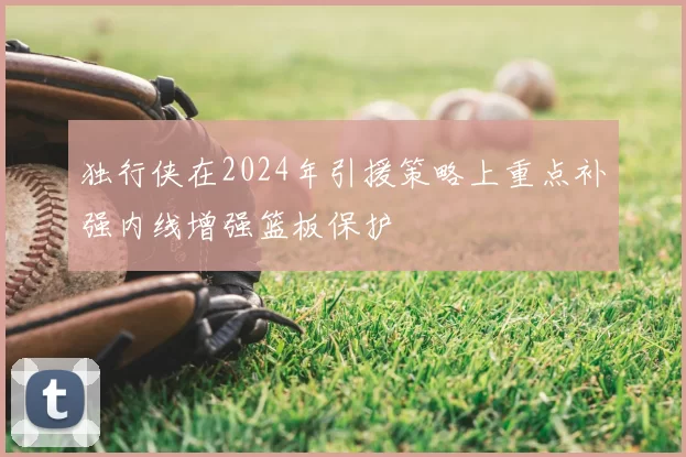 独行侠在2024年引援策略上重点补强内线增强篮板保护