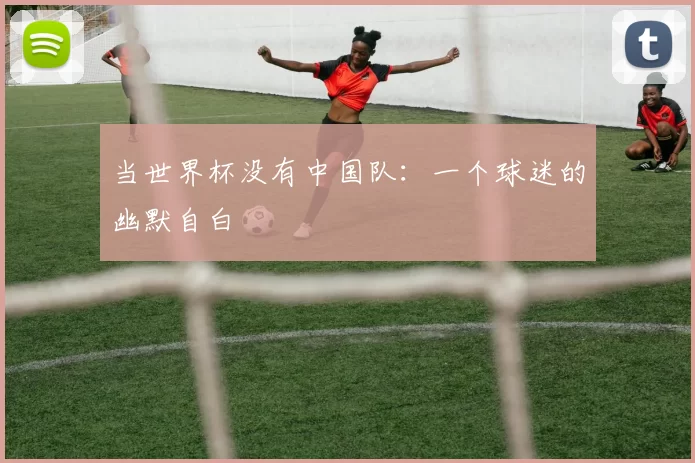 当世界杯没有中国队：一个球迷的幽默自白