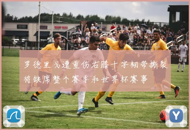 罗德里戈遭重伤右膝十字韧带撕裂将缺席整个赛季和世界杯赛事