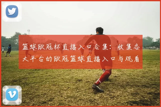 篮球欧冠杯直播入口合集：收集各大平台的欧冠篮球直播入口与观看方式