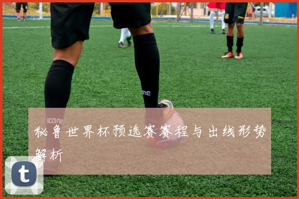 秘鲁世界杯预选赛赛程与出线形势解析