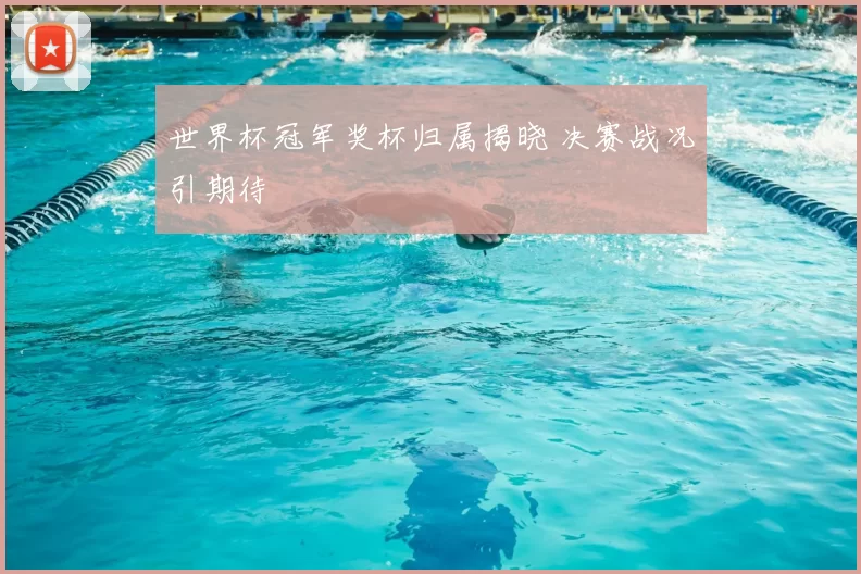 世界杯冠军奖杯归属揭晓 决赛战况引期待