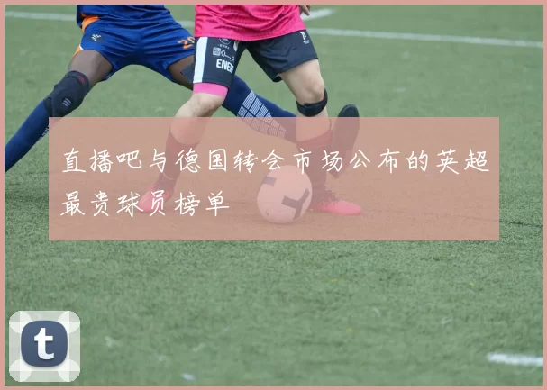 直播吧与德国转会市场公布的英超最贵球员榜单