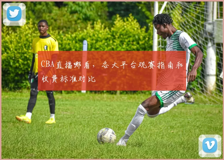 CBA直播哪看,各大平台观赛指南和收费标准对比