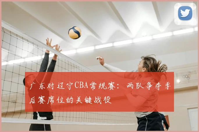 广东对辽宁CBA常规赛：两队争夺季后赛席位的关键战役