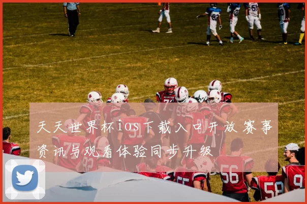 天天世界杯ios下载入口开放 赛事资讯与观看体验同步升级