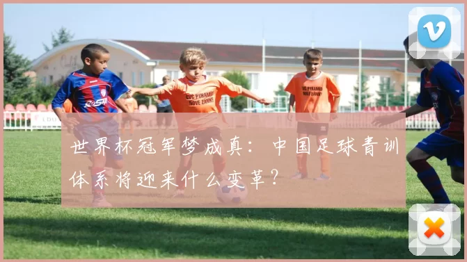 世界杯冠军梦成真:中国足球青训体系将迎来什么变革?
