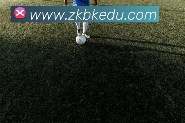 华体会官方发展历程