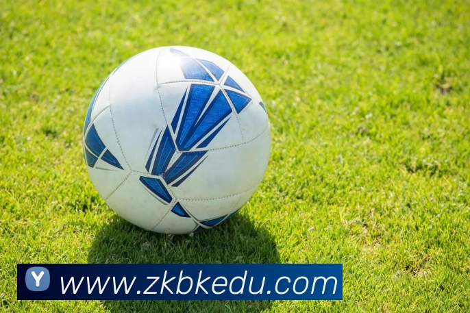 高性价比实用健身器材清单解锁全维度塑形方案